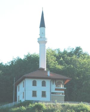 Džamija u Seljašnici.jpg