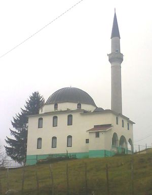 Nova džamija u Biševu.jpg