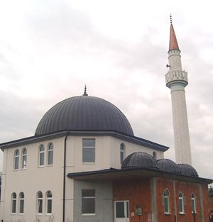 Džamija Alija Izetbegović.jpg