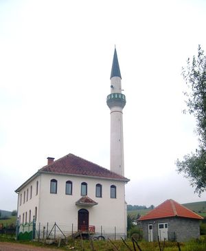 Džamija u Cetanoviću.jpg