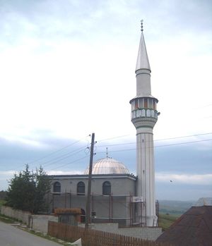 Begova džamija.jpg