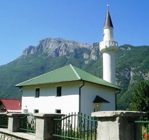 Ćosovića džamija.jpg
