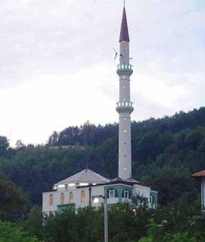 Džamija u Zalugu.jpg