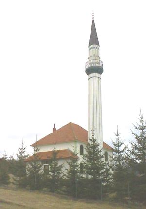 Džamija u selu Naboje.jpg