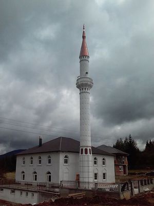 Sakova džamija.jpg
