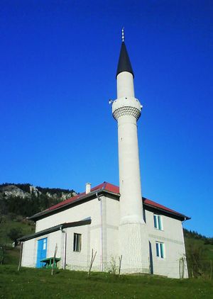 Džamija u selu Balotiće.jpg