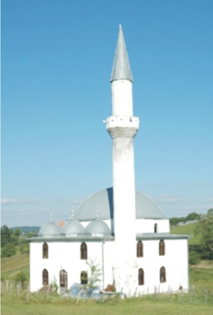 Džamija u Žirču.png