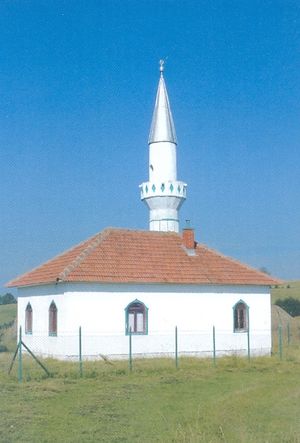Džamija u Donjem Crnišu.jpg
