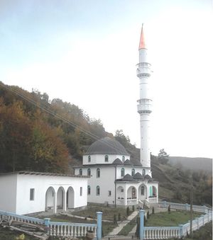 Džamija u Vrševu.jpg
