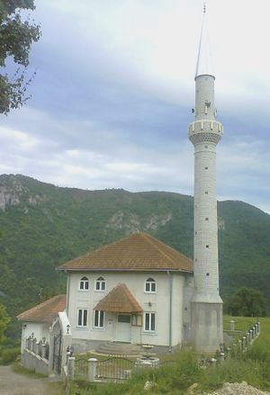 Džamija u Dobrakovu.jpg