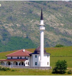 Džamija u selu Vrhsjenice.jpg