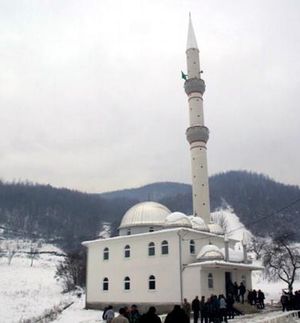 Džamija u Zaguljači.jpg