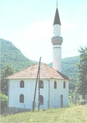Džamija u Donjem Paljevu.jpg