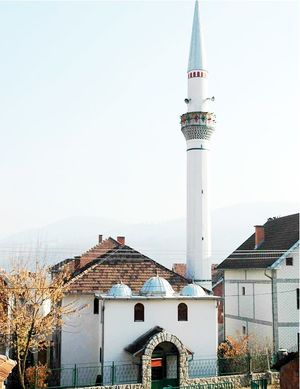 Hadži Šefkova džamija.jpg